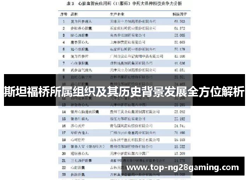 斯坦福桥所属组织及其历史背景发展全方位解析