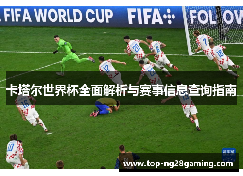 卡塔尔世界杯全面解析与赛事信息查询指南