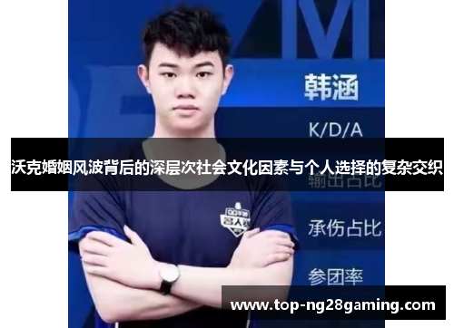 沃克婚姻风波背后的深层次社会文化因素与个人选择的复杂交织