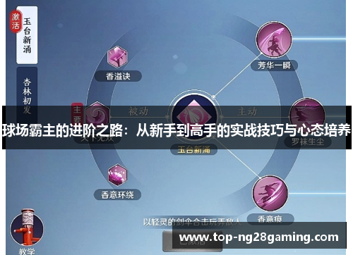 球场霸主的进阶之路：从新手到高手的实战技巧与心态培养