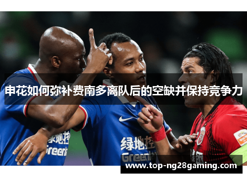 申花如何弥补费南多离队后的空缺并保持竞争力