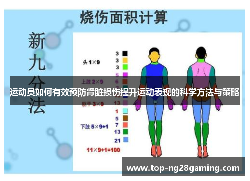 运动员如何有效预防肾脏损伤提升运动表现的科学方法与策略