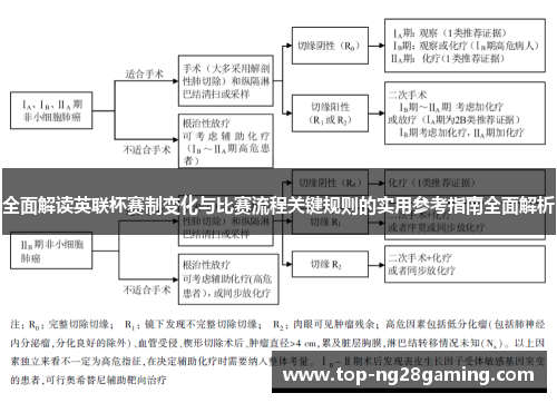 全面解读英联杯赛制变化与比赛流程关键规则的实用参考指南全面解析