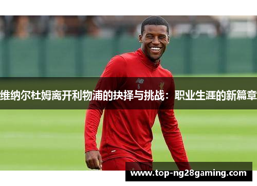 维纳尔杜姆离开利物浦的抉择与挑战：职业生涯的新篇章