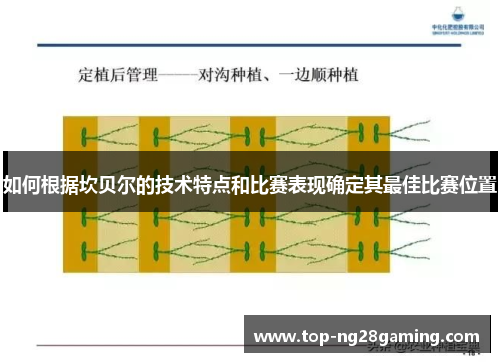 如何根据坎贝尔的技术特点和比赛表现确定其最佳比赛位置